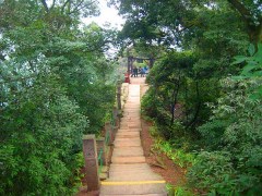 成都到汶川映秀、水磨羌城一日游